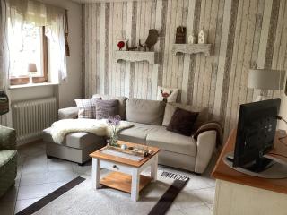 Ferienwohnung Weisbrod, nur private Buchungen - Bräunlingen - 6