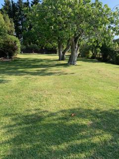 Can Figueretes II - 3