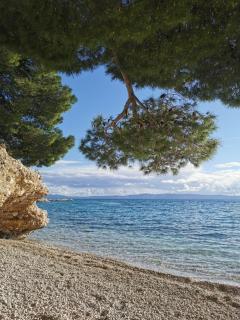 KLINE Makarska center - Makarska - 9