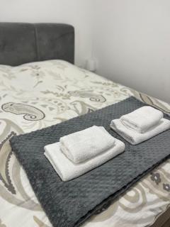 Apartman 44 Jagodina Akva park - Jagodina - 4