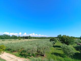 Apartman Ika Umag - Umag - 3