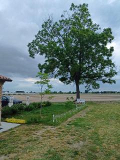 Ecofriendly house Colli Euganei - 8