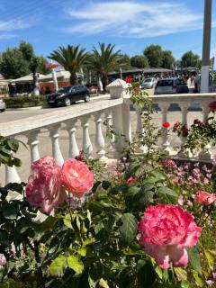 Dionisos Roses - 1