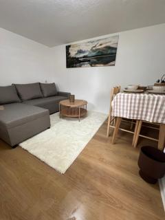 Ellas Lakeside Apartment - Plav - 8