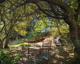 Sous les Chênes - Peypin-dʼAigues - 9