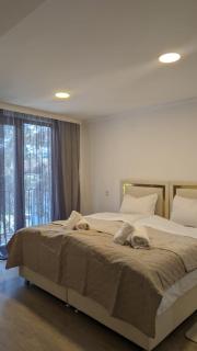 Shara Hotel - Mestia - 3