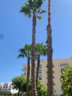 Dunas de vilamoura - Quarteira - 5
