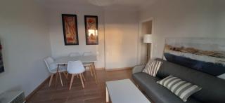 Araucaria - Vigo - 8
