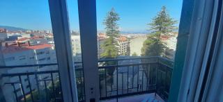 Araucaria - Vigo - 9