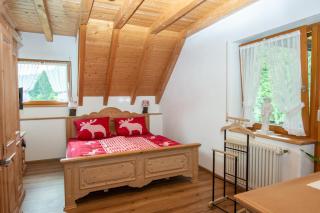 Ferienwohnung Birgit - Schonach - 1