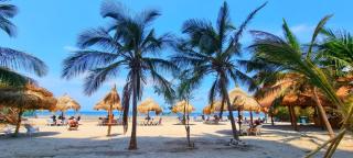 apartamento luxury, Frente al mar - Gaira - 7