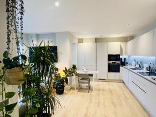 Modern, bright and spacious 1BR - Finchley - 0