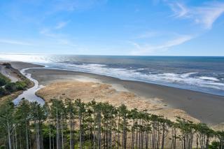 Solitude by Seabrook Hospitality - Pacific Beach - 6