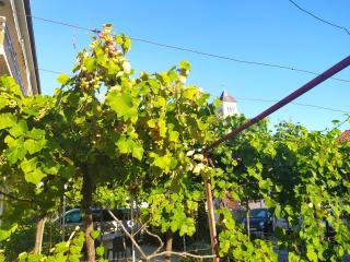 More - Crikvenica - 6