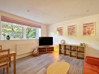 Battersea Park View Flat - 0