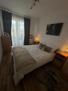 Corni Apartment - Brasov - 0