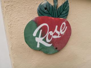 Rose - 9