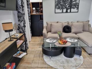 appart du sillon - 6
