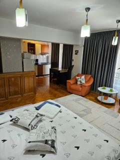 Studio Margot Centre Bucharest - 1