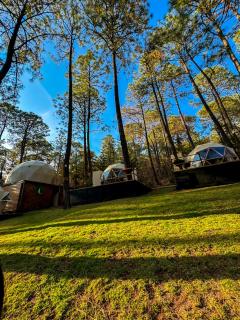 Luahara Glamping Tapalpa - Domo Natural Experience - Tapalpa - 9