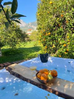 Orange Garden Triangle Homes - Antalya - 5
