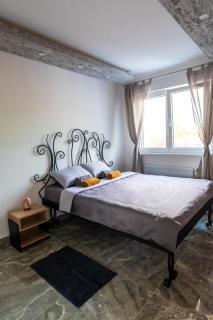 Apartman Despot LUX - Banja Koviljača - 2