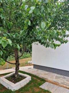 Villa DE Luna Istra - Barban - 2