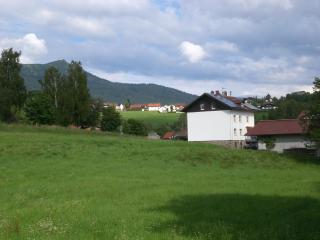 Reindl Peter - Lam - 5