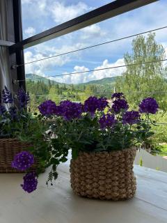 Provence - Slavske - 4