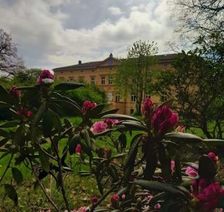 Schloss Tressow - Tressow - 8