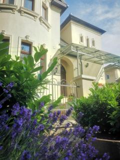 Kúria apartman with private jacuzzi and pool - Budapeste - 9