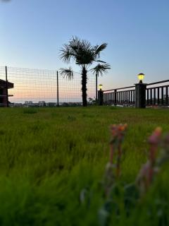 RUBADİDİ BUNGALOV - Ardeşen - 4