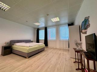 Kobra Room in Spielberg - Spielberg - 7