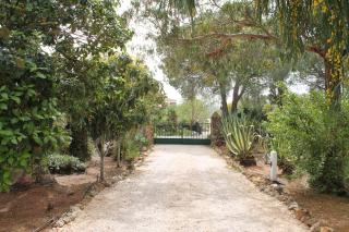 Villa Alegria - Lagos - 2