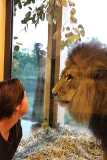Big Cat Bungalows at The Haven - Tiger 2 - 7