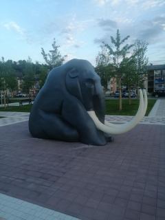 Apartman Mijatovic - 1