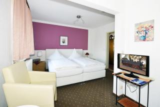 Hotel Moorbadstuben - Bad Buchau - 9