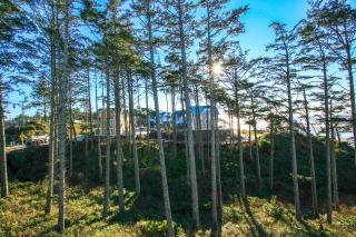 Bella Vita by Seabrook Hospitality - 4