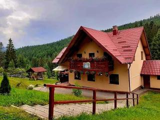 Casa Ursuleasa - 8