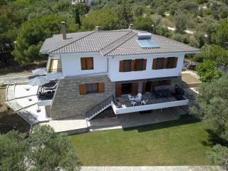 Villa Petrino - PalaiónTsiflíkion - 8