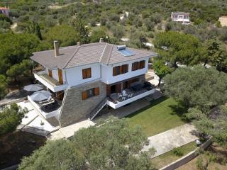 Villa Petrino - PalaiónTsiflíkion - 7