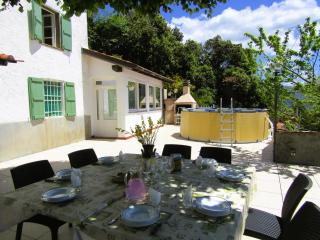 Villa Le Ginestre - Camaiore - 1