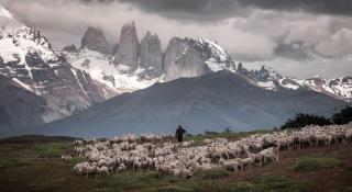 Estancia Cerro Guido - Torres del Paine - 8