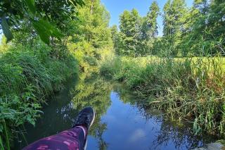 Blockhaus an der Dahme , Ferienhaus - 6