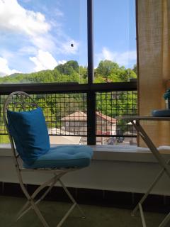 ALEA Studio Apartment&Garage in the Heart of Sarajevo - 2