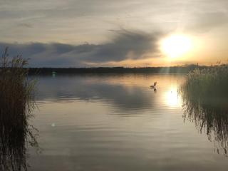 Ferienhaus Turner - 7