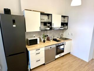 Best location in Prague! 4 bedrooms and super host! - Prague - 7