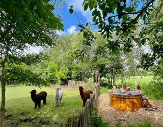 Tipi Tent - Paasloo - 2