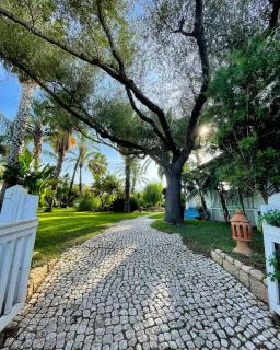 Hotel Mediterraneo - Santa Maria Navarrese - 5