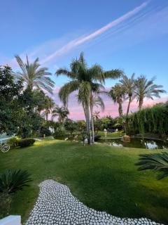 Hotel Mediterraneo - Santa Maria Navarrese - 9
